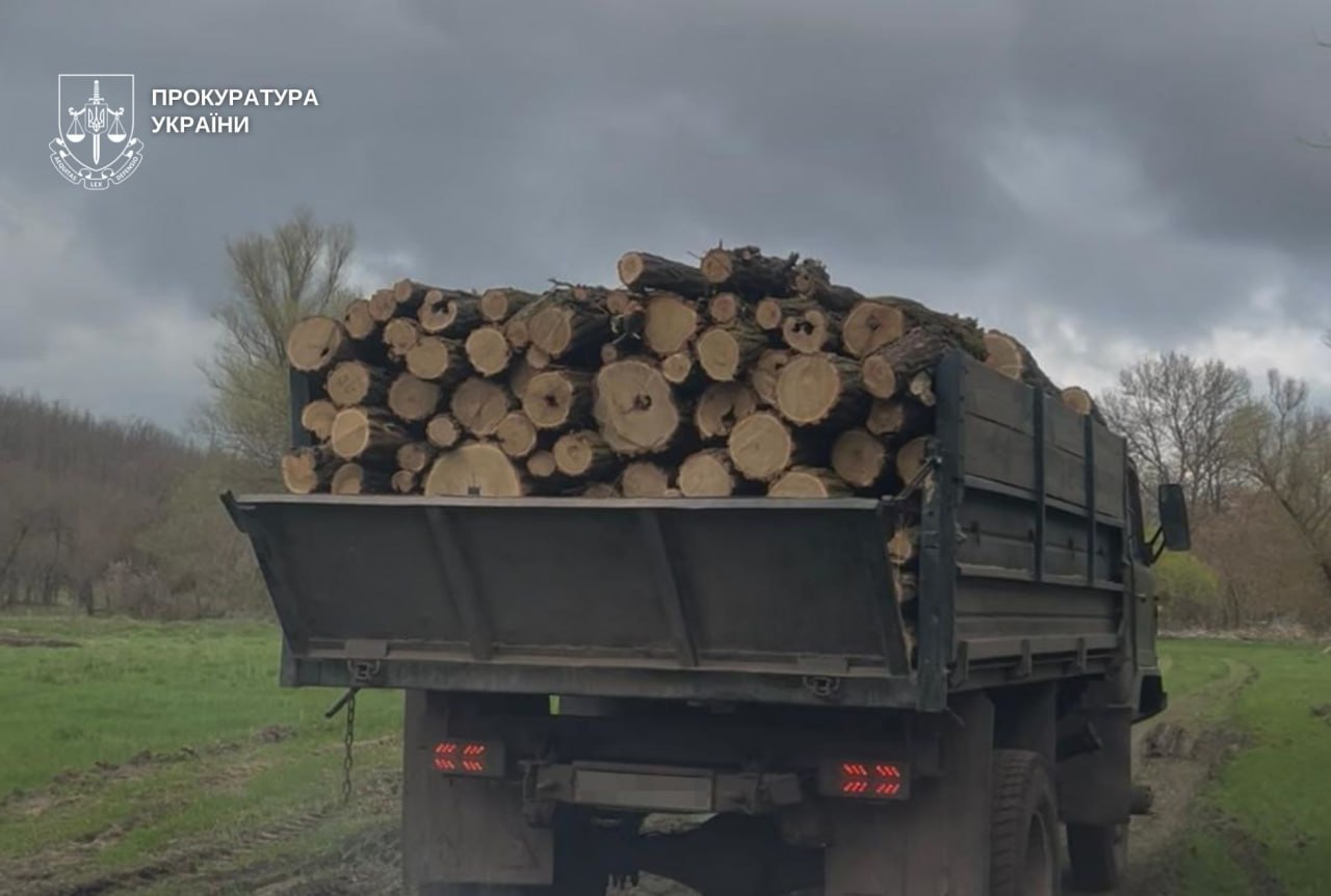 На Дніпропетровщині чотирьох осіб судитимуть за вирубку лісу на 3 млн грн