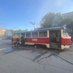 Унікальна квітка на околицях Дніпра: зривати заборонено під загрозою серйозних штрафів