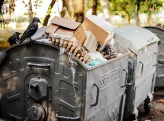 У Кривому Розі можуть підняти тариф на вивезення сміття майже вдвічі менше