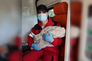 Немовля зі шкалою Апгар 10 балів: на Дніпропетровщині пологи прийняли у швидкій