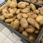 Закупівельні ціни на картоплю восени можуть зрости на 25-30%